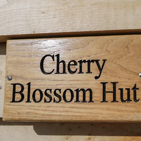 Holiday home Cherry Blossom Bristol